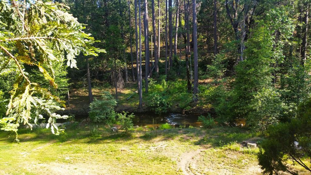גרובלנד Yosemite Riverside Inn מראה חיצוני תמונה