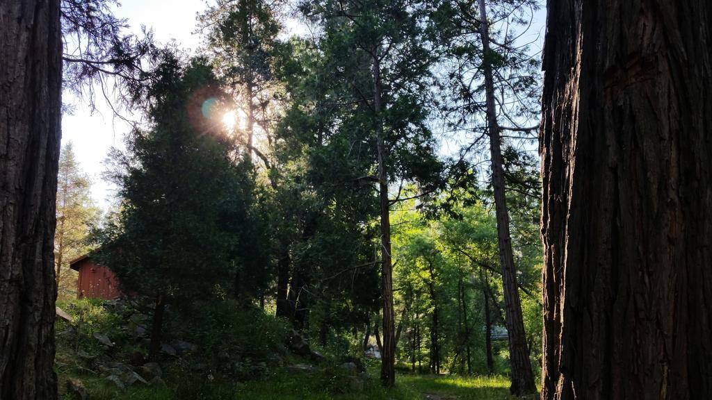 גרובלנד Yosemite Riverside Inn מראה חיצוני תמונה