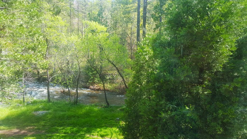 גרובלנד Yosemite Riverside Inn מראה חיצוני תמונה